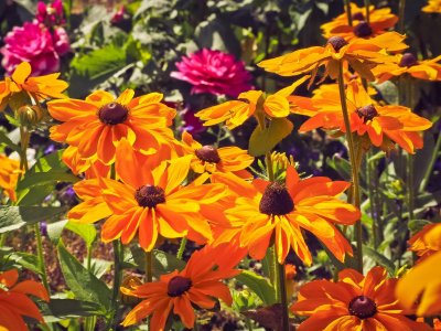 If People Feel God Is Back, It's Actually Because He Never Went Away